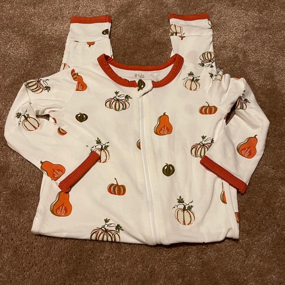 Kyte baby 3T fall gourds romper